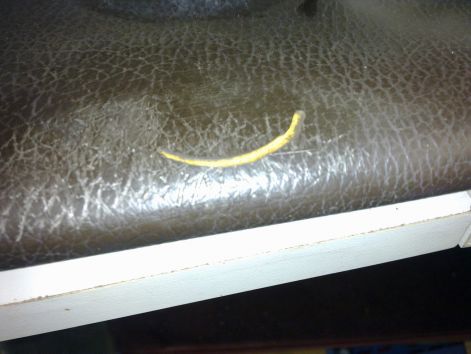 felso_muszefal_1.jpg felso_muszefal_1.jpg